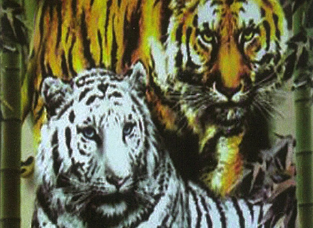 Frazadas de piel - Tigres