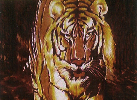 Frazadas de piel - Tigres